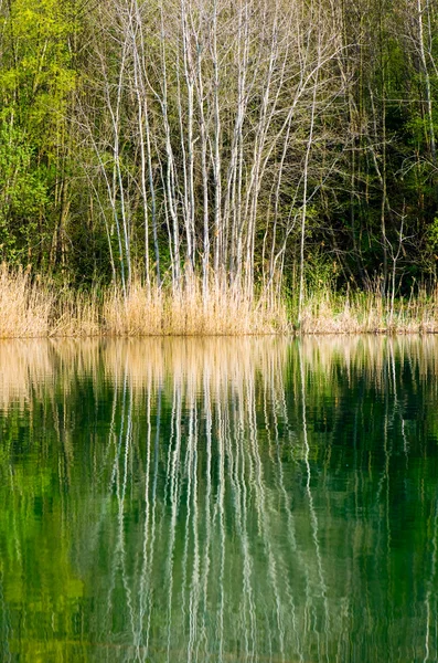 Jezioro odbicie — Zdjęcie stockowe