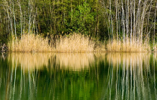 Reflectie lake — Stockfoto