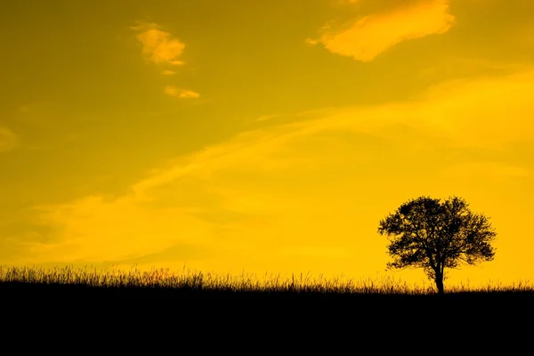 stock image Solitude