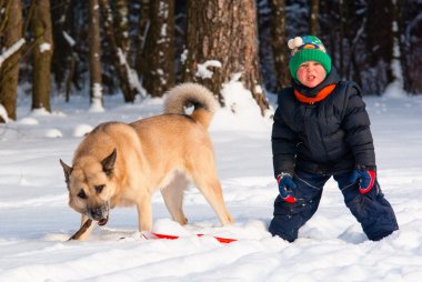 köpek ve küçük çocuğu oynama