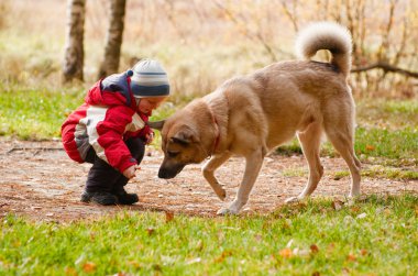 Küçük çocuk köpeğiyle oynuyor.