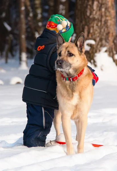 Protección. Perro y niño —  Fotos de Stock