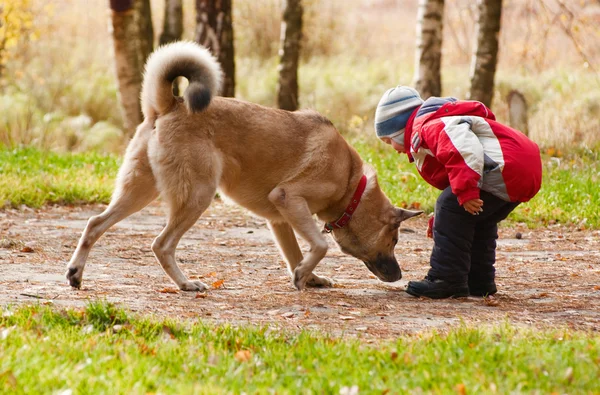 Little boy playing with his dog — Stock Photo, Image
