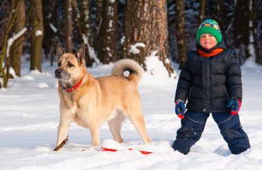 köpek ve kış orman çocuğu