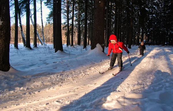 Детский бег на лыжах — стоковое фото