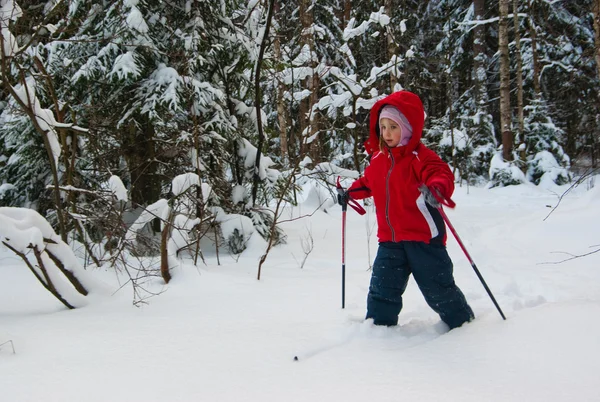 小女孩横越全国滑雪 — 图库照片
