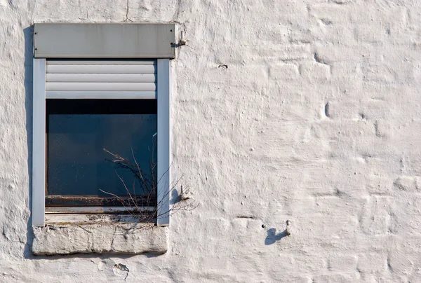Parede de tijolo velho e janela — Fotografia de Stock