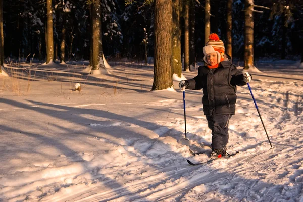 Liten pojke längdskidåkning — Stockfoto