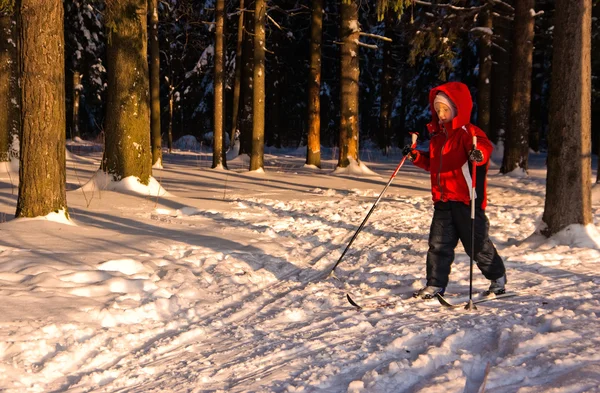 stock image Little Girl Cross Country Skiing