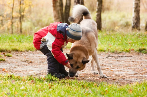 Menino brincando com seu cão — Fotografia de Stock