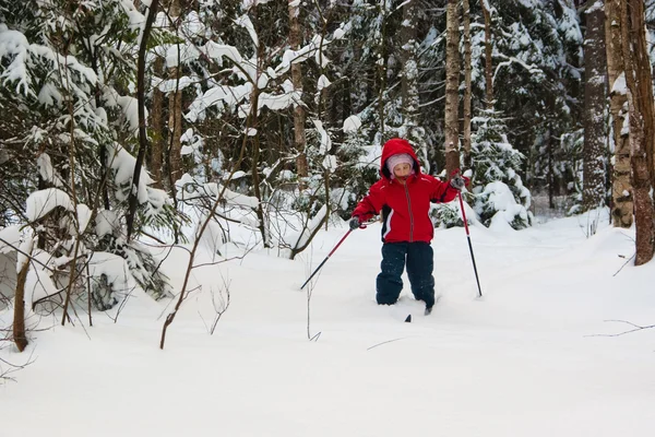 Petite fille Ski de fond — Photo