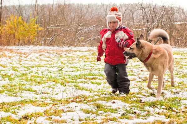 Маленький мальчик играет со своей собакой. — стоковое фото