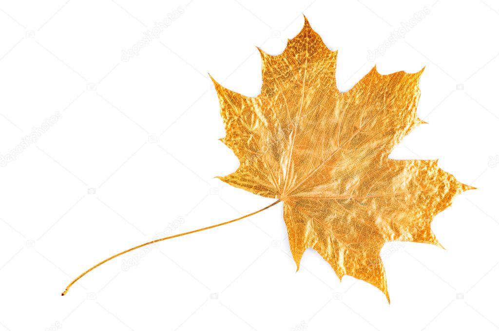Gold maple leaf — Stock Photo © nrey_ad 3098268