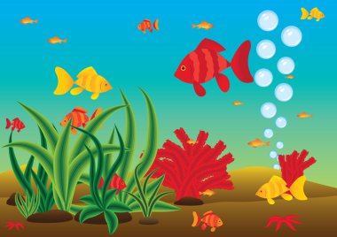 Sea Life clipart