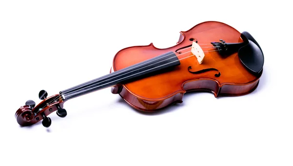 Απομόνωμα βιολί — Φωτογραφία Αρχείου
