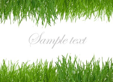 Green grass clipart