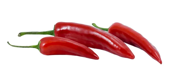 Sommige rode hete pepers op een witte achtergrond — Stockfoto