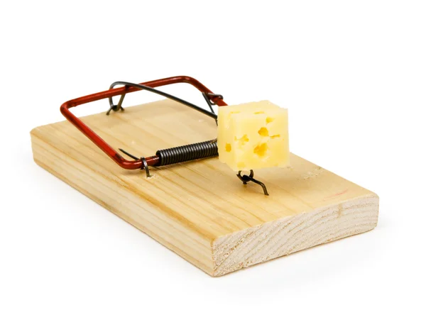 stock image Mousetrap