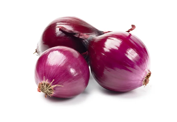 Onion purple — Stock Photo, Image