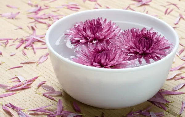 stock image Spa flowers