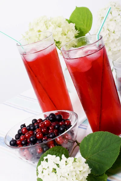 Cooler Cocktail — Stockfoto