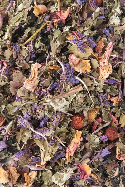 Suszone kwiaty, jagody i liście herbaty — Zdjęcie stockowe