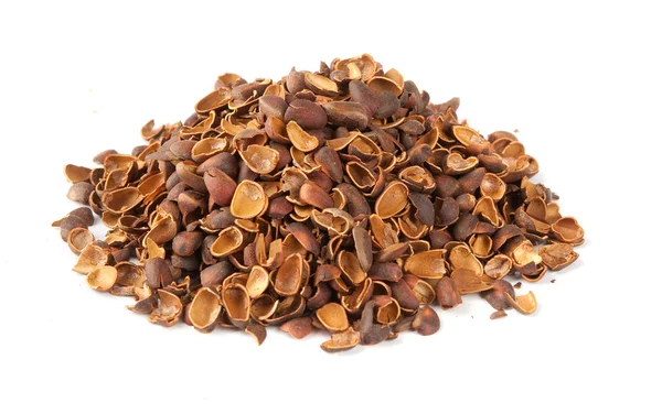 Heap of shell of pine nuts — Stock Photo, Image