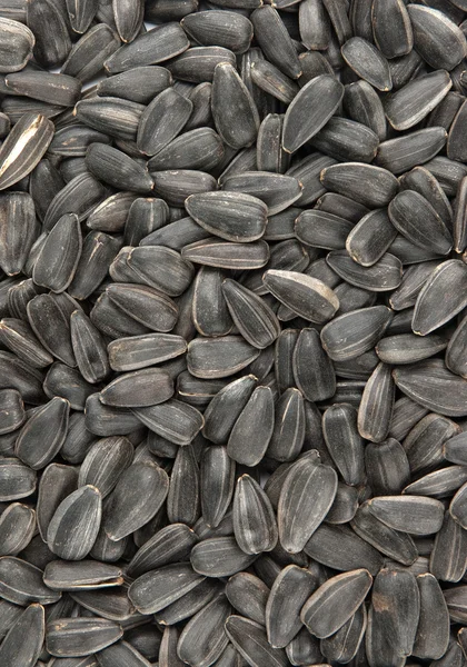 Molti semi di girasole — Foto Stock