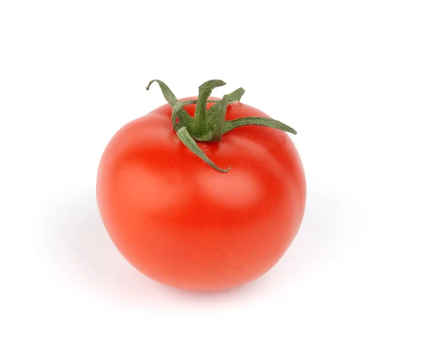 Red Tomato Stock Picture