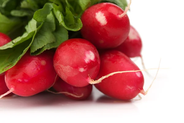 A bunch of radishes — Stock Photo, Image