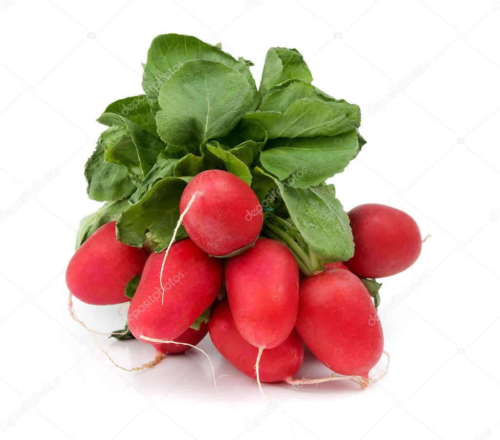 Red radish isolated on white background
