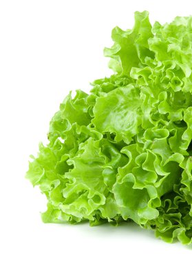 Lettuce clipart