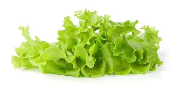 Groene sla salade, vers — Stockfoto