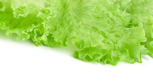 Σαλάτα με φρέσκα πράσινα μαρούλια — Φωτογραφία Αρχείου