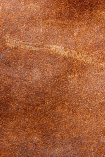Natural leather skin textured background — Stock Photo, Image