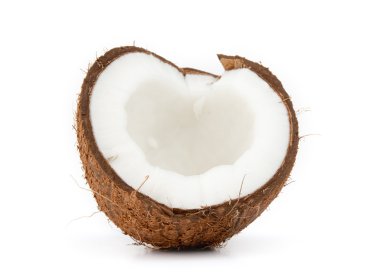 Coconut clipart