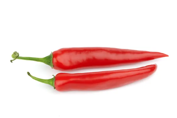 붉은 따끈 한 치미 고추 — 스톡 사진