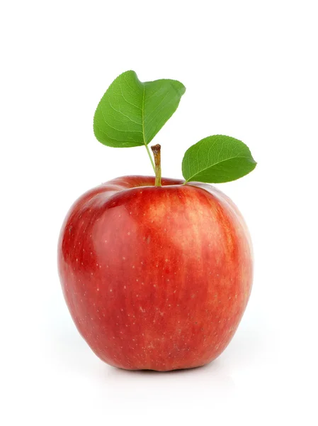 Спелое красное яблоко на белом фоне — стоковое фото