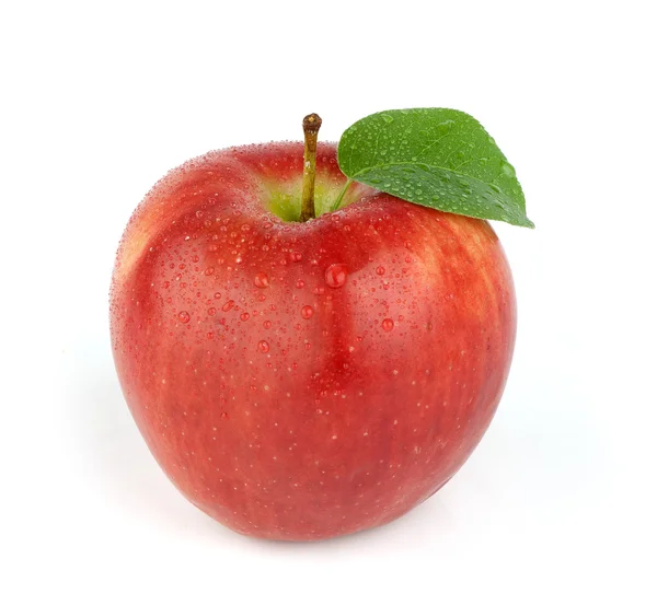 Manzana roja madura — Foto de Stock