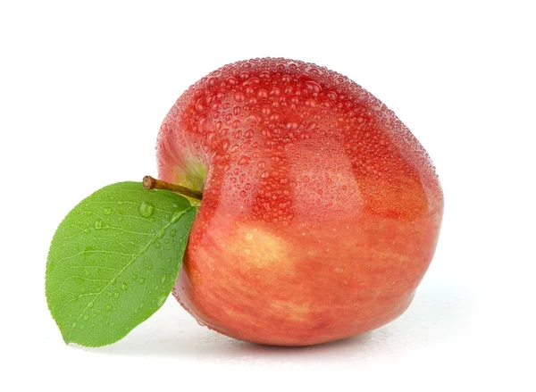 Feuchter roter Apfel mit Blatt — Stockfoto