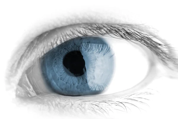 Человеческий глаз. macro — стоковое фото