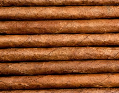 Cigars in a row close-up clipart