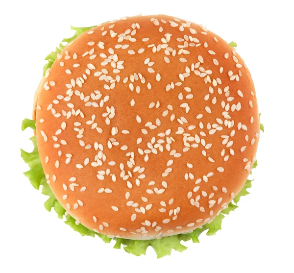 맛 있는 햄버거 — 스톡 사진