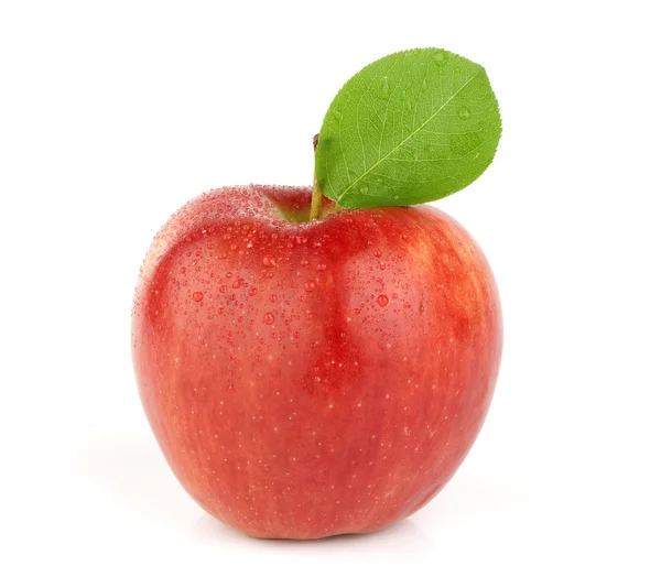 Maturare mela rossa — Foto Stock