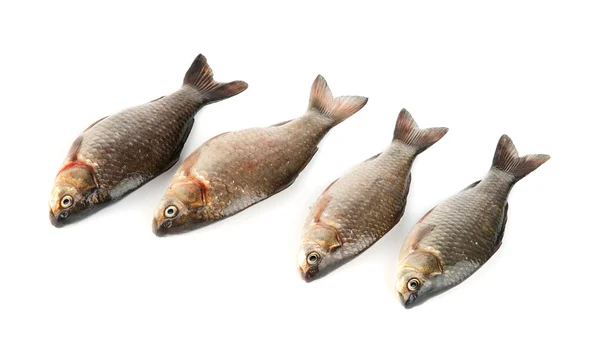 Råa fiskar — Stockfoto