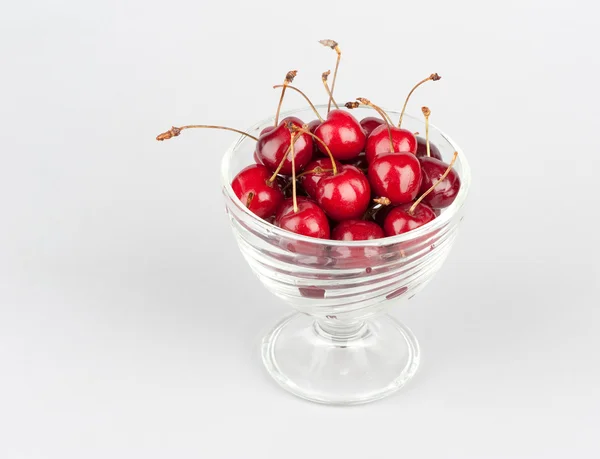 Merah cherry — Stok Foto