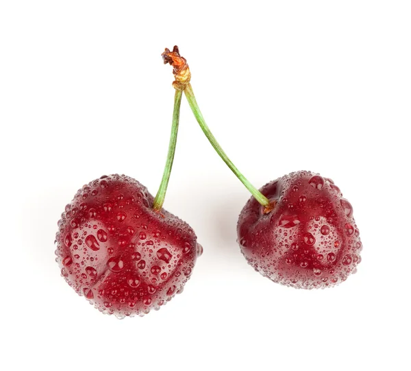 Świeżych wiśni — Zdjęcie stockowe