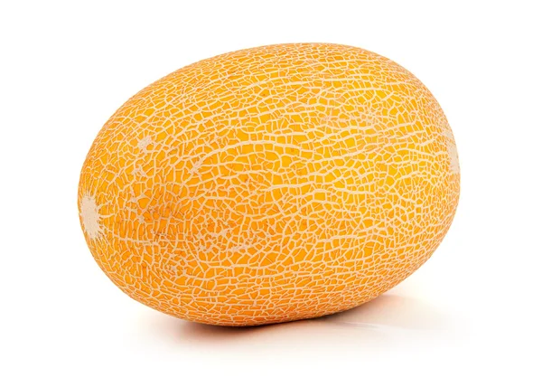 Žlutý meloun — Stock fotografie