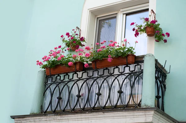 Vieux balcon avec des fleurs — Photo