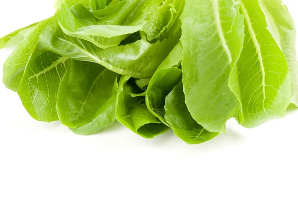 Saladas verdes folhas — Fotografia de Stock